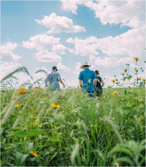Regenerative Agriculture Mad Ag
